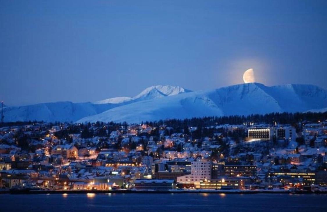 Polar Arctic View - Free Parking! Apartamento Tromsø Exterior foto